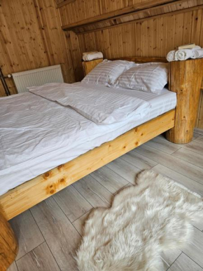 Charpatian Log Cabin Dragoslavele
